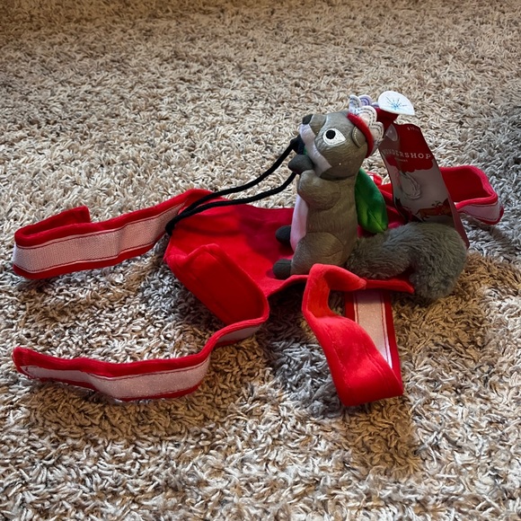 Pet Squirrel Rider, Size S/M - Picture 1 of 3